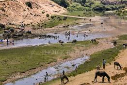 Image du Maroc Professionnelle de  Le barrage Oued El Makhazine, conçu pour le développement et  l'irrigation du périmètre du Loukkos. Ainsi les champs situés dans le triangle Ksar El Kébir, Larache, Moulay Bouselham profitent de cette infrastructure. Cette importante réalisation située sur El Oued Loukkos sert à la régularisation inter annuelle des débits tout en formant une protection contre les crues, au Jeudi 1er Septembre 2005 à cette datte le barrage dispose 309 Million de M3. (Photo / Abdeljalil Bounhar) 